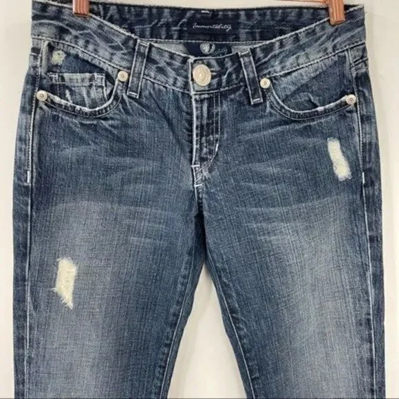 Vintage Denim for Immortality by Diana Taleshi jeans 26 BoxP - Picture 9 of 10